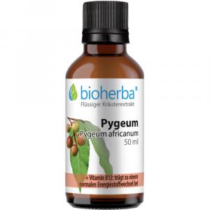 PYGEUM Pygeum africanum Tinktur