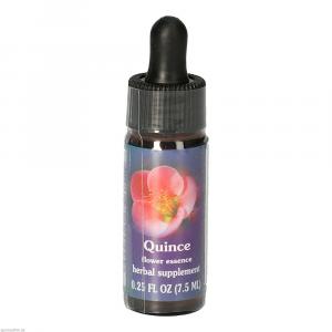 QUINCE FES kalifornische Blütenessenz Tropfen
