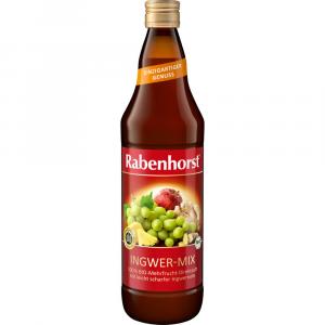 RABENHORST Ingwer-Mix Bio Saft