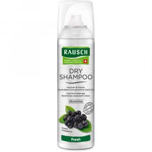 RAUSCH Dry Shampoo fresh Dosierspray