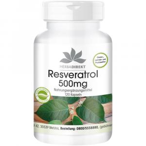 RESVERATROL 500 mg Kapseln