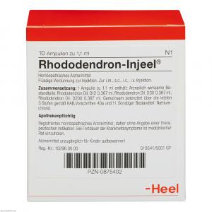 RHODODENDRON INJEEL Ampullen