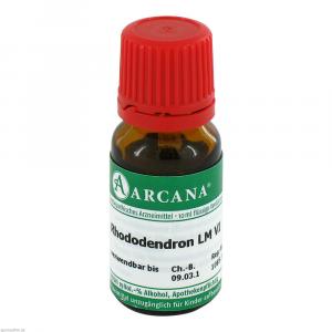RHODODENDRON LM 6 Dilution