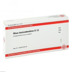 RHUS TOXICODENDRON D 12 Ampullen
