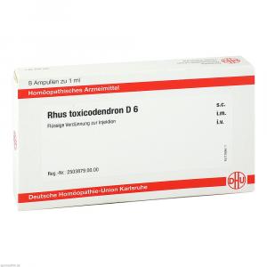 RHUS TOXICODENDRON D 6 Ampullen