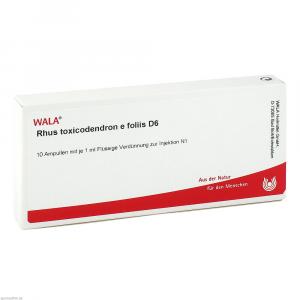RHUS TOXICODENDRON E foliis D 6 Ampullen