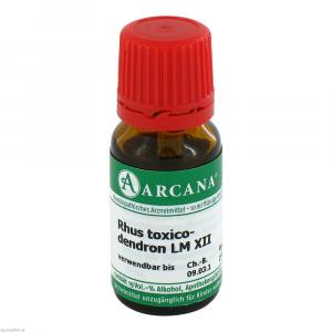RHUS TOXICODENDRON LM 12 Dilution
