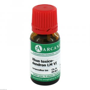 RHUS TOXICODENDRON LM 6 Dilution