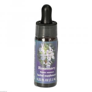 ROSEMARY FES kalifornische Blütenessenz Tropfen