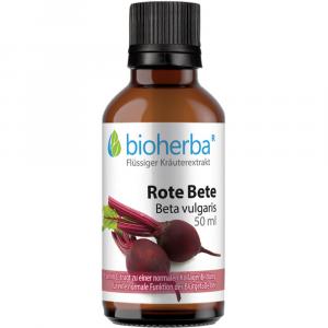 ROTE BETE Beta vulgaris Tinktur