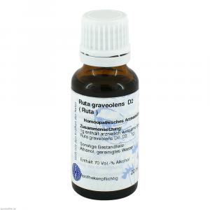 RUTA D 2 Dilution