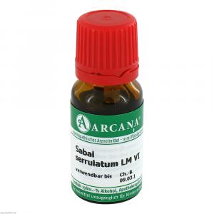SABAL SERRULATUM LM 6 Dilution