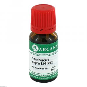 SAMBUCUS NIGRA LM 12 Dilution