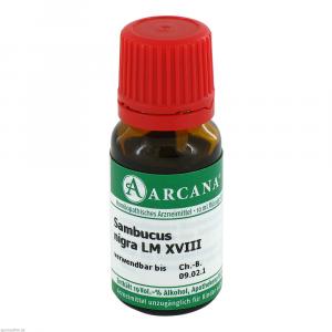 SAMBUCUS NIGRA LM 18 Dilution