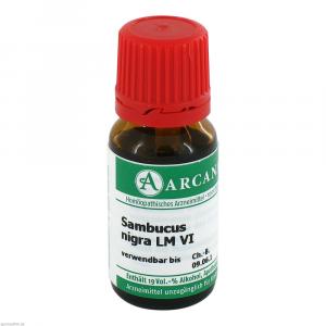 SAMBUCUS NIGRA LM 6 Dilution