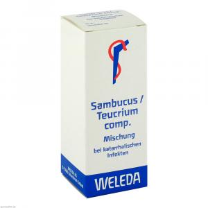 SAMBUCUS/TEUCRIUM comp.Mischung