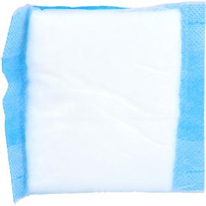 SAUGKOMPRESSEN unsteril 10x10 cm mit Wäscheschutz
