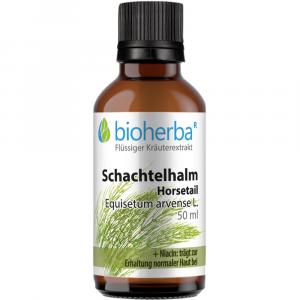 SCHACHTELHALM HORSETAIL Tinktur