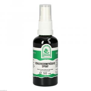 SCHLEHDORNFRÜCHTE Spray