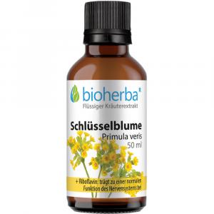 SCHLÜSSELBLUME Primula veris L.Tinktur