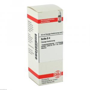SCILLA D 4 Dilution