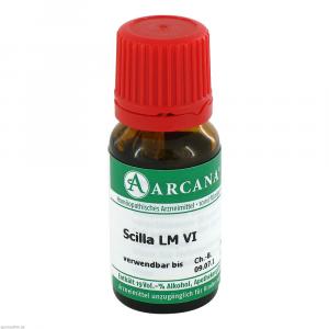 SCILLA LM 6 Dilution
