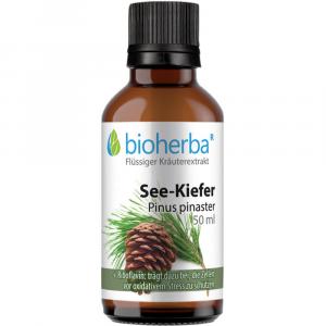 SEEKIEFER Pinus pinaster Tinktur SEEKIEFER Pinus pinaster Tinktur