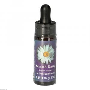 SHASTA Daisy FES kalifornische Blütenessenz Tropf.