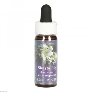 SHASTA Lily FES kalifornische Blütenessenz Tropfen