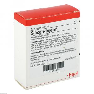 SILICEA INJEEL Ampullen SILICEA INJEEL Ampullen