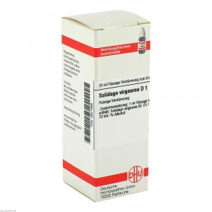 SOLIDAGO VIRGAUREA D 1 Dilution