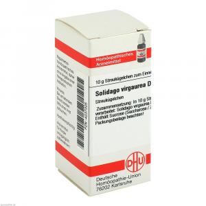 SOLIDAGO VIRGAUREA D 1 Globuli