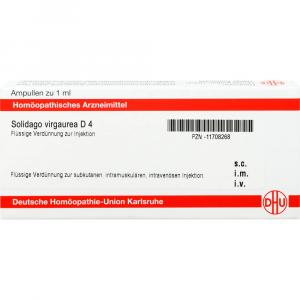 SOLIDAGO VIRGAUREA D 4 Ampullen