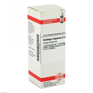 SOLIDAGO VIRGAUREA D 4 Dilution