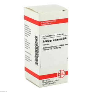 SOLIDAGO VIRGAUREA D 6 Tabletten