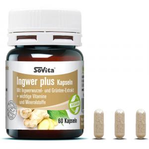 SOVITA Ingwer plus Kapseln