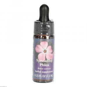 SPREADING Phlox FES kaliforn.Blütenessenz Tropfen
