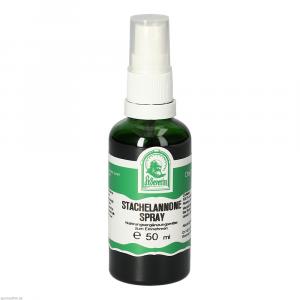 STACHELANNONE Spray
