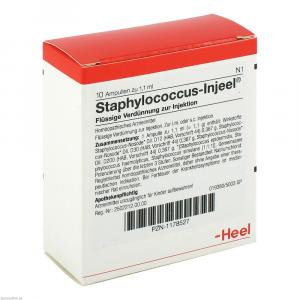 STAPHYLOCOCCUS INJEEL Ampullen