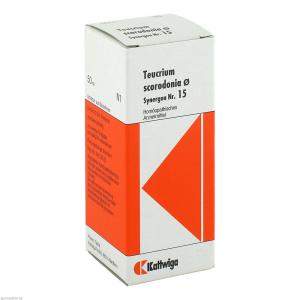 SYNERGON KOMPLEX 15 Teucrium Urtinktur