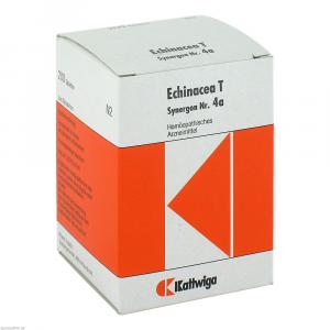 SYNERGON KOMPLEX 4a Echinacea T Tabletten