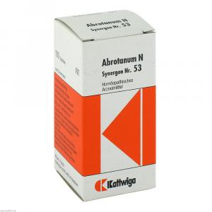 SYNERGON KOMPLEX 53 Abrotanum N Tabletten