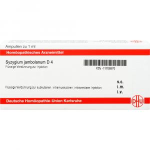 SYZYGIUM JAMBOLANUM D 4 Ampullen