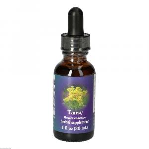 TANSY FES kalifornische Blütenessenz Tropfen