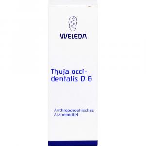 THUJA OCCIDENTALIS D 6 Dilution