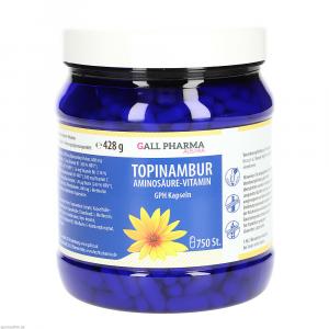 TOPINAMBUR AMINOSÄURE Vitamine GPH Kapseln