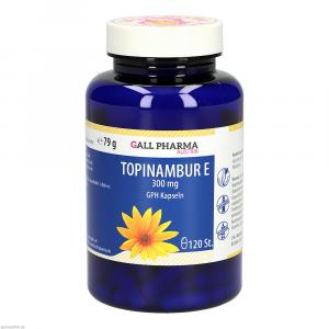 TOPINAMBUR E 300 mg GPH Kapseln