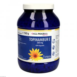 TOPINAMBUR E 300 mg GPH Kapseln