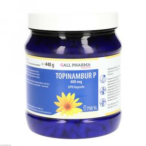 TOPINAMBUR P 400 mg GPH Kapseln