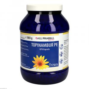 TOPINAMBUR PE GPH Kapseln